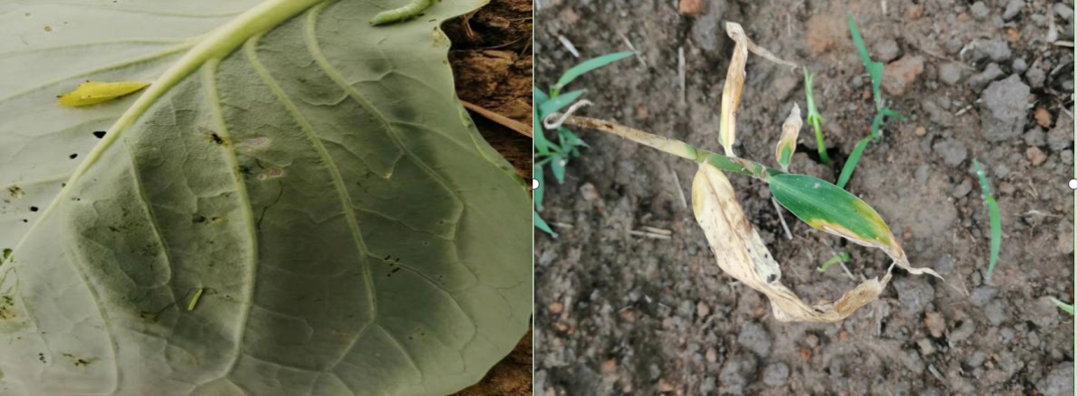 意昂娱乐(中国)体育有限公司官网