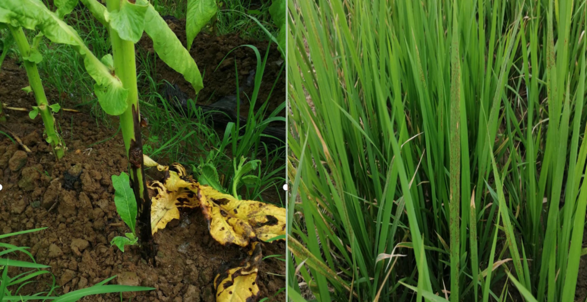 意昂娱乐(中国)体育有限公司官网