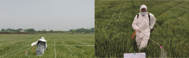 意昂娱乐(中国)体育有限公司官网