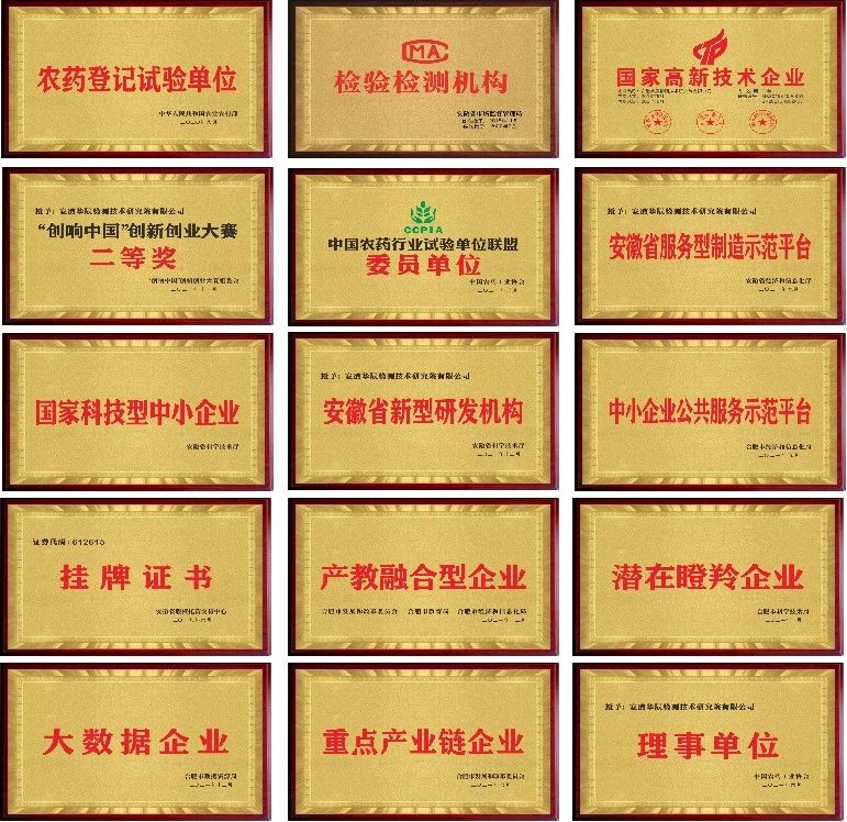 意昂娱乐(中国)体育有限公司官网