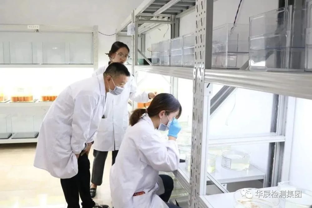 意昂娱乐(中国)体育有限公司官网