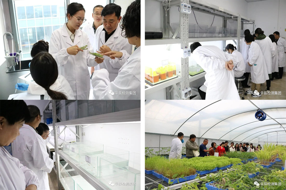 意昂娱乐(中国)体育有限公司官网